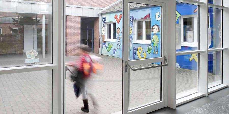 Двустворчатые алюминиевые двери для общественных зданий на заказ